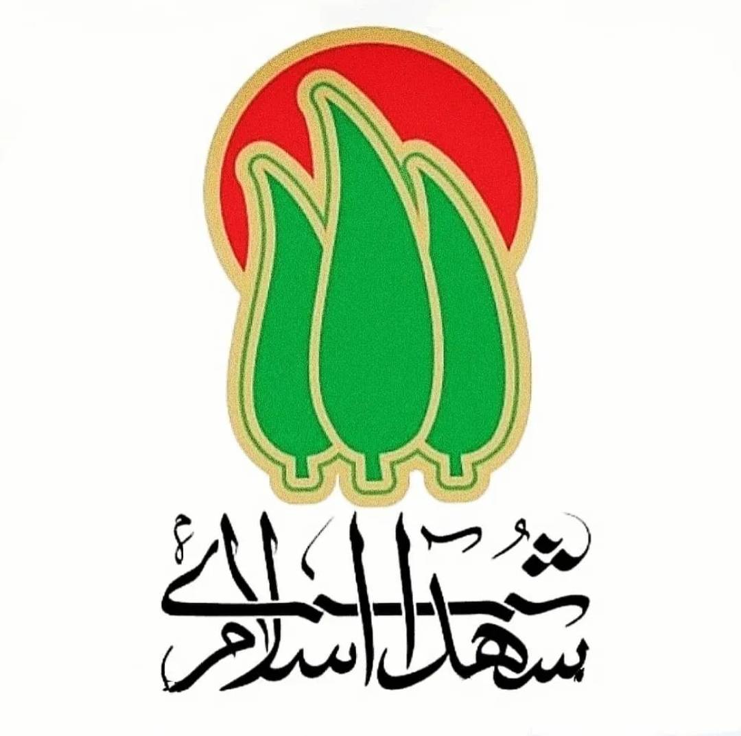 موکب شهدای اسلام (میرجاوه)