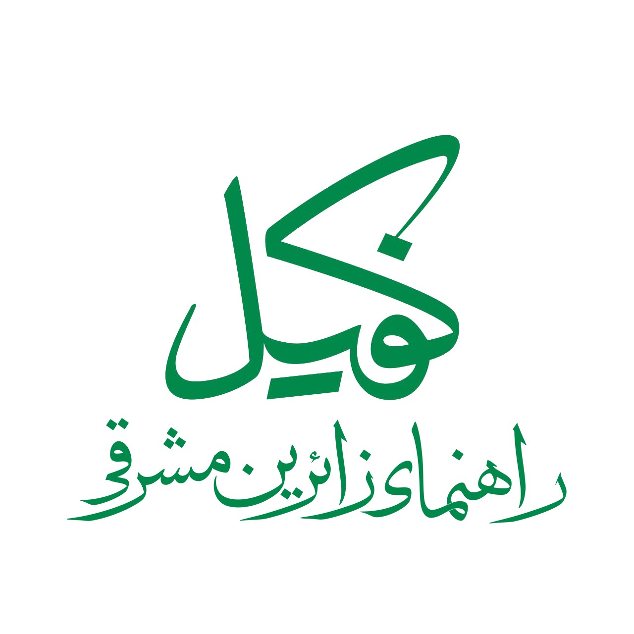 logo not found